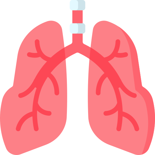 Pulmonary Arterial Hypertension (PAH)